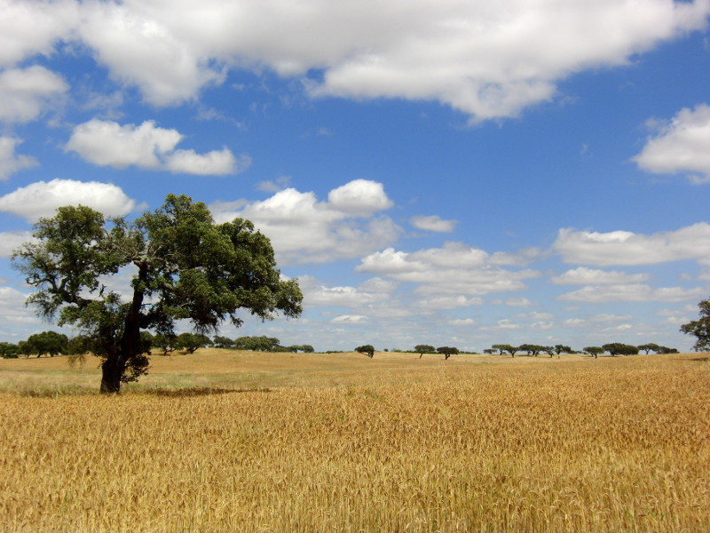 Arredores de &Eacute;vora