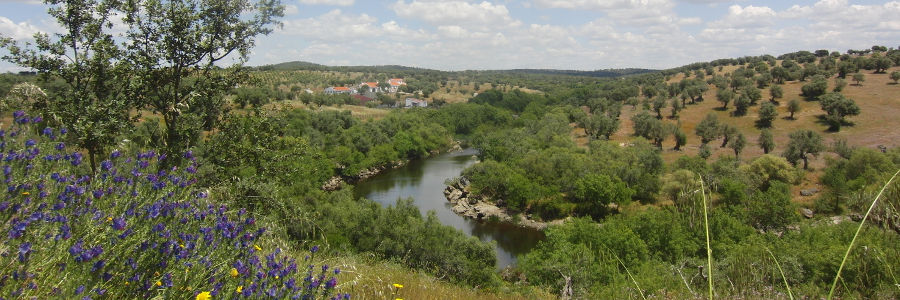 O Alentejo Ondulado